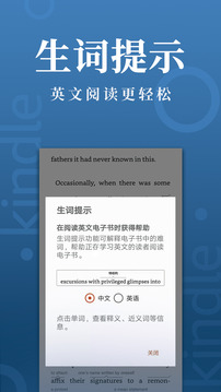 Kindle阅读截图