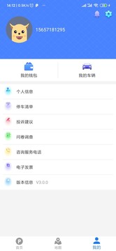 武漢停車截圖