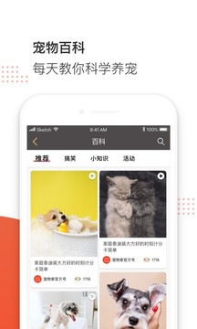 宠物家截图