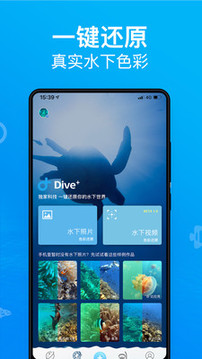 Dive+截圖