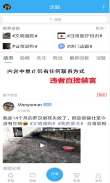 猛犬俱樂(lè)部截圖