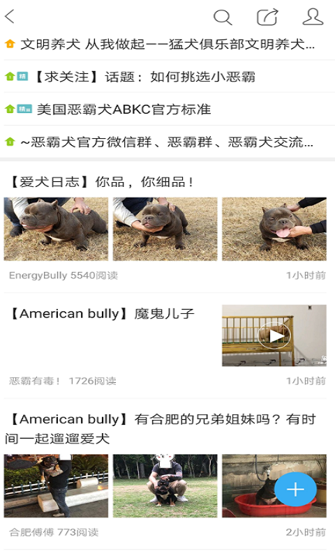 猛犬俱乐部v20245截图3