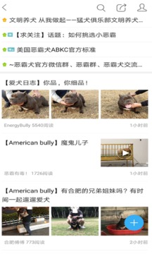 猛犬俱樂(lè)部截圖