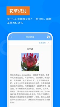 洋果掃描王截圖