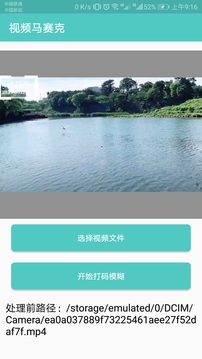 視頻馬賽克截圖