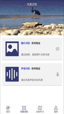 图音识鸟截图2