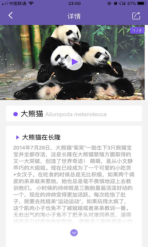 长隆i动物截图5