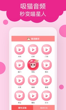 貓語翻譯截圖