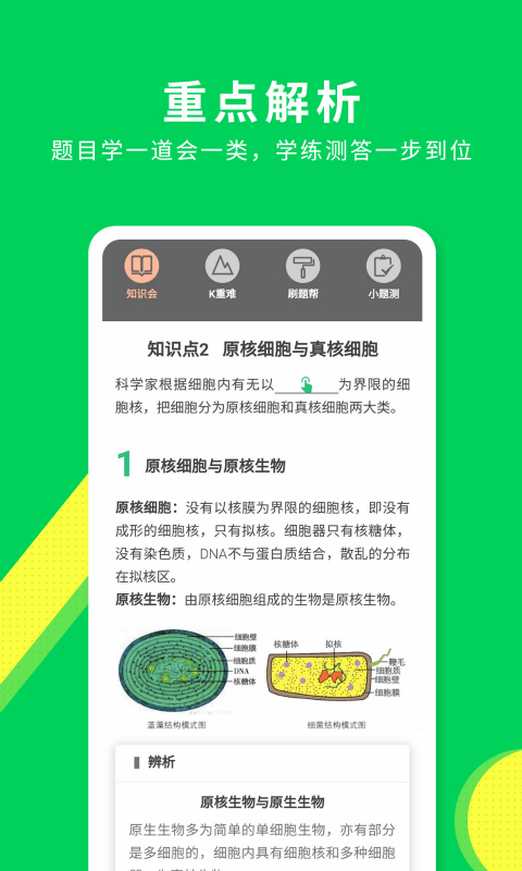 包学习v3.8.4截图3