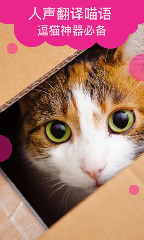 貓語翻譯截圖預(yù)覽