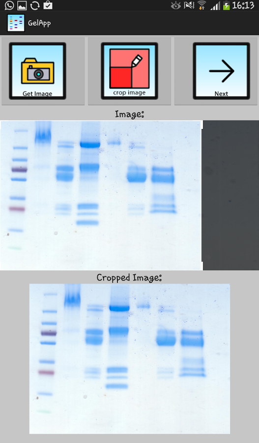 Gelapp：脱氧核糖核酸和蛋白质凝胶分析机截图8