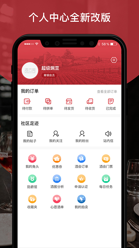 论酒v7.46截图3