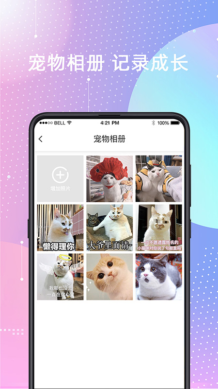 寵物貓狗交流器截圖預(yù)覽