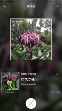 花伴侶截圖