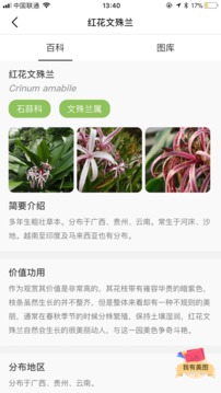花伴侶截圖
