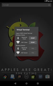 Virtual Terminal截图