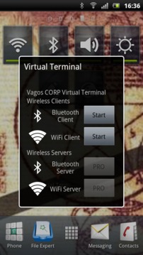 Virtual Terminal截图