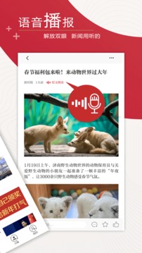 新時報截圖