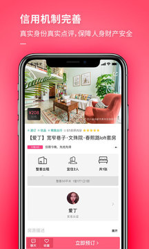 小豬截圖