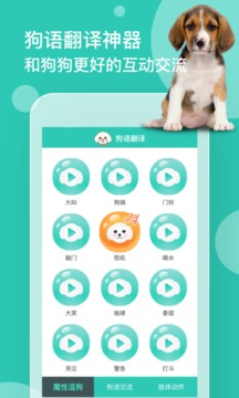狗語(yǔ)翻譯截圖