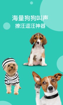 狗語(yǔ)翻譯截圖