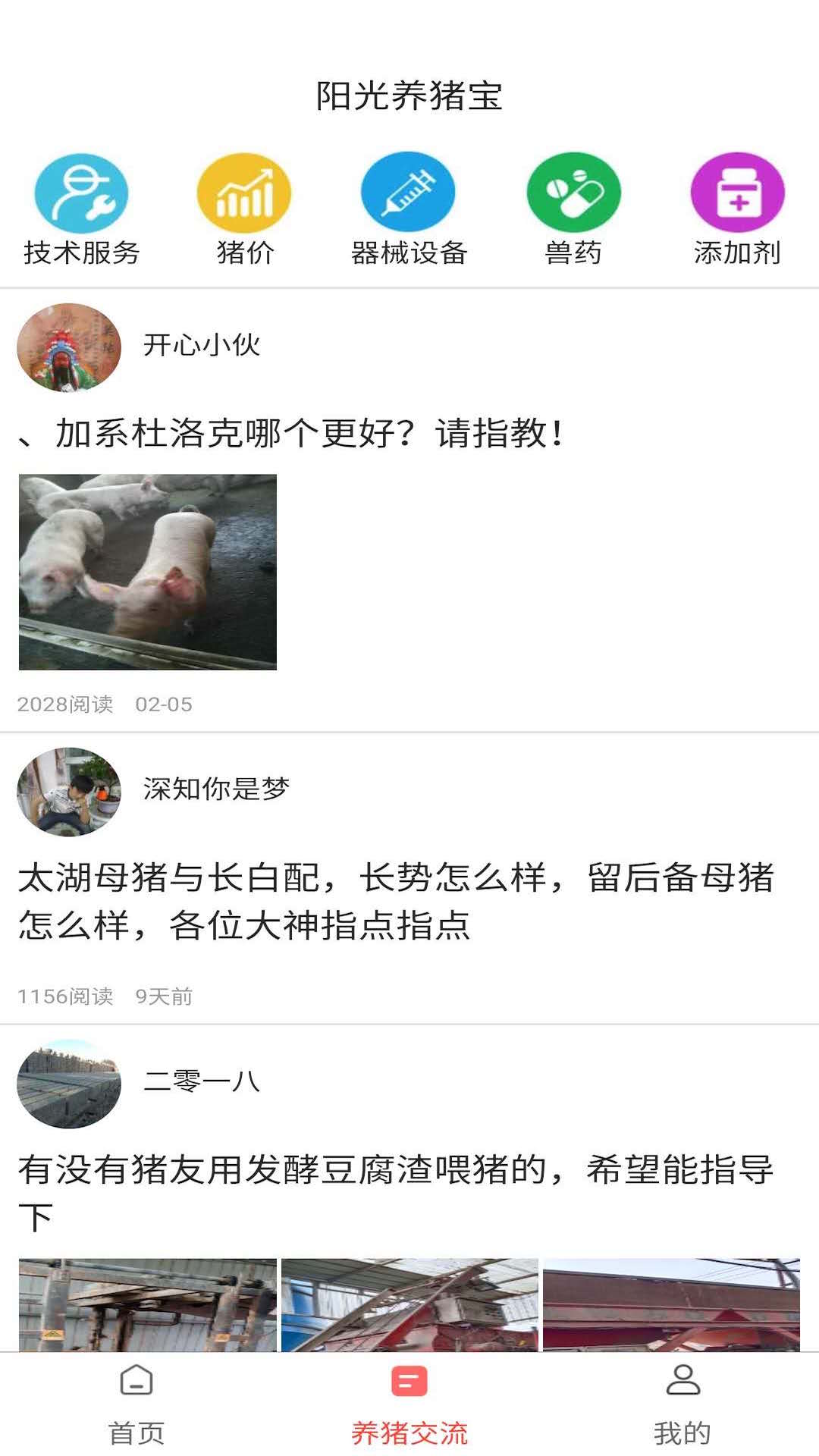 阳光养猪宝截图3