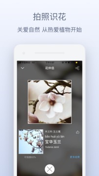 花伴侶截圖