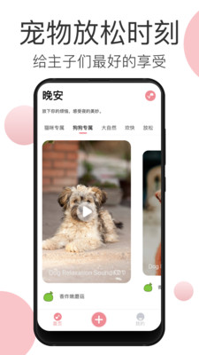 宠物音乐截图3