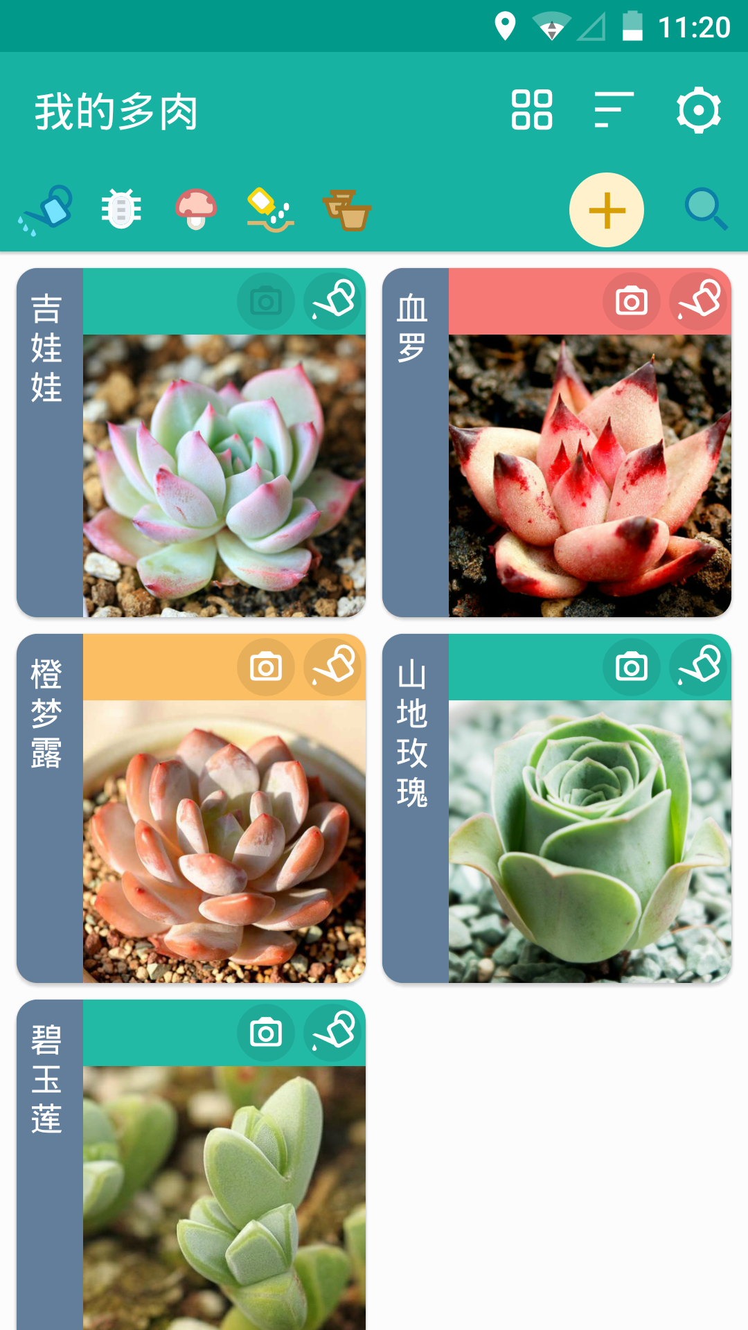 多肉成長(zhǎng)記截圖預(yù)覽