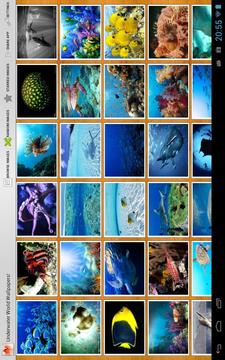 Underwater World Wallpapers!截图