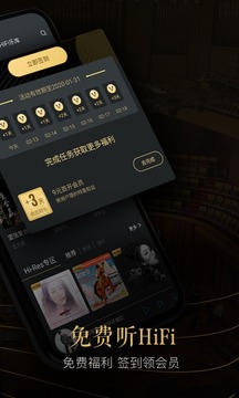 VIPER HiFi截圖