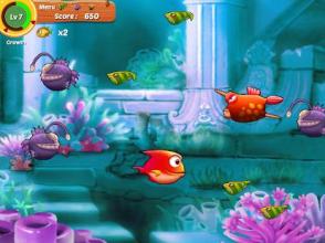 Big Fish Eat Small Fish - Hungry Fish截图2