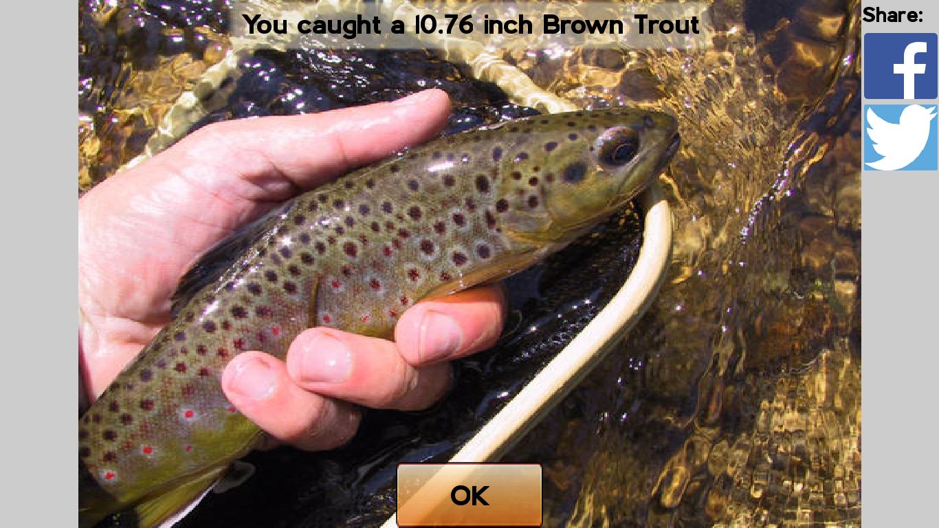 Fly Fishing Simulator HD截图3