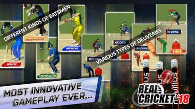 Real Cricket™ 18（Unreleased）截图4