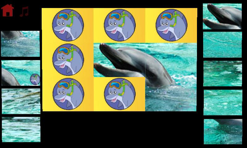 dolphins puzzle for kids截图3