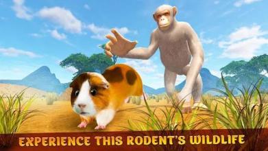 Wild Guinea Pig Life Survival Simulator 3D截图4