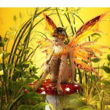 Fairy Jigsaw Puzzles Free截图1