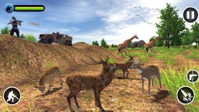 Animal Safari Deer Hunter截图1