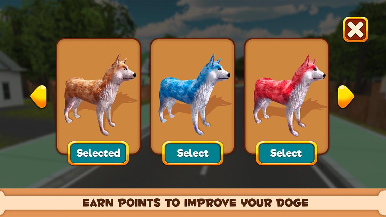 Play With Your Dog: Shiba Inu截图5