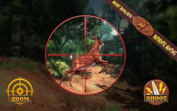 Safari Survival Deer Hunter Sniper Game 2017 Free截图5