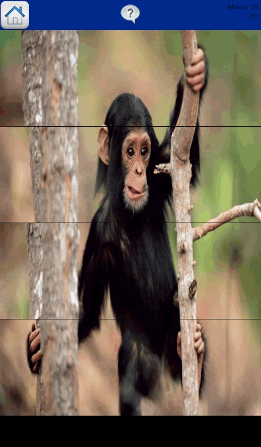 Monkey Puzzle for Kids截图3