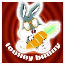 looney bunny dash jump adventure截图1