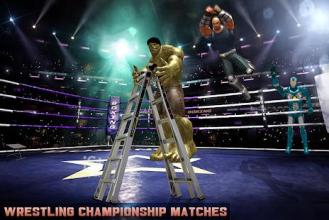 Tag Team Superhero Ladder Wrestling Tournament截图2