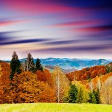 Autumn Jigsaw Puzzles Free截图1