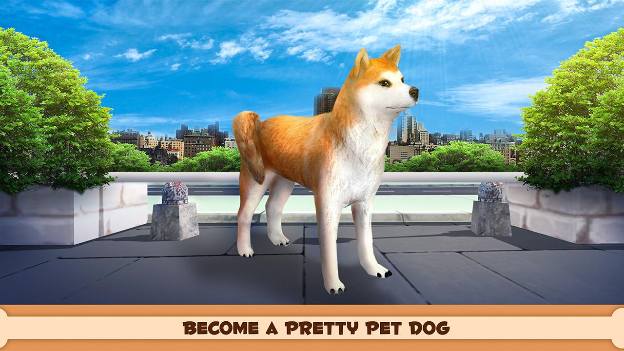 Play With Your Dog: Shiba Inu截图1