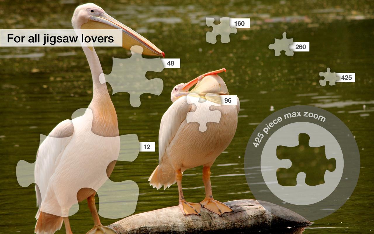 Lake Bird Jigsaw Puzzles截图2