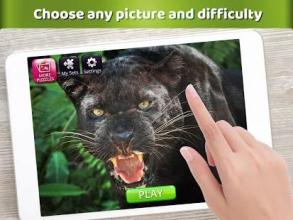 Zoo Jigsaw Puzzles for Family - Puzzle Games截图2