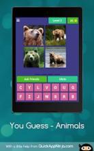 You Guess - Animals截图5