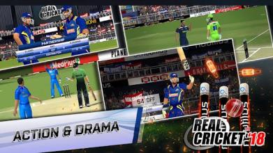 Real Cricket™ 18（Unreleased）截图3