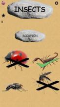 Insects - Learning Insects. Practice Test Sound截图1